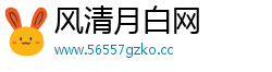 风清月白网